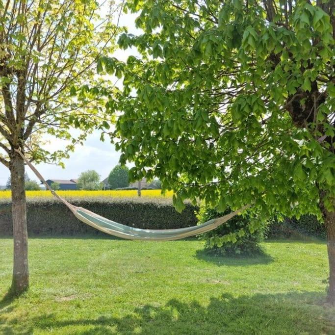 Grande Maison de plain pied avec jardin arboré. Champignelles Extérieur photo