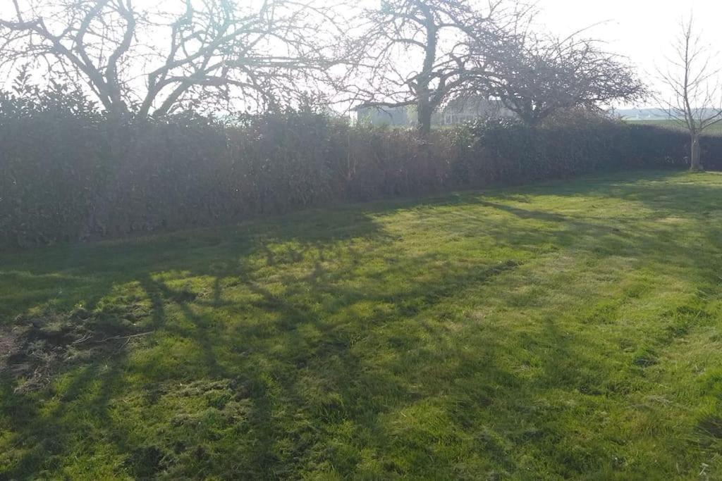Grande Maison de plain pied avec jardin arboré. Champignelles Extérieur photo