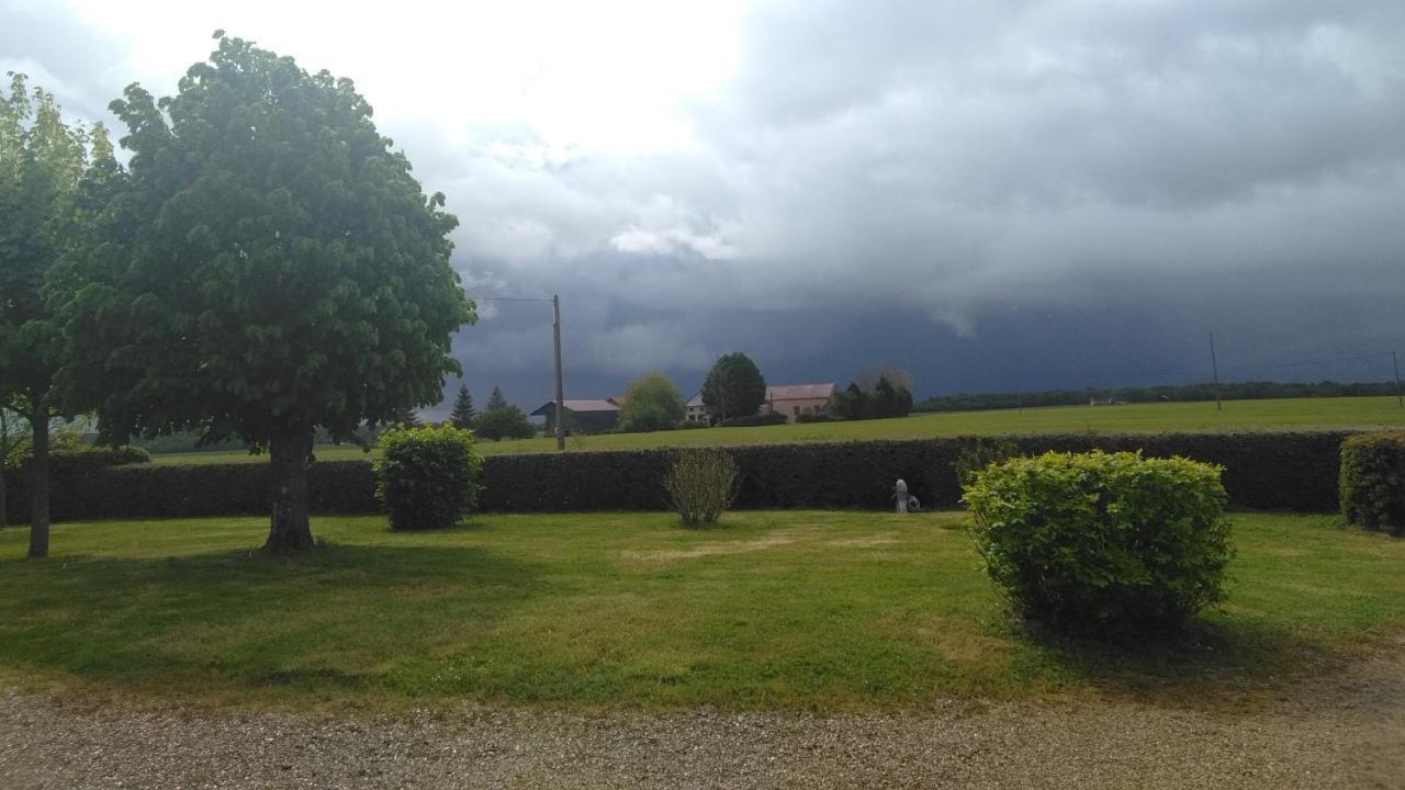 Grande Maison de plain pied avec jardin arboré. Champignelles Extérieur photo