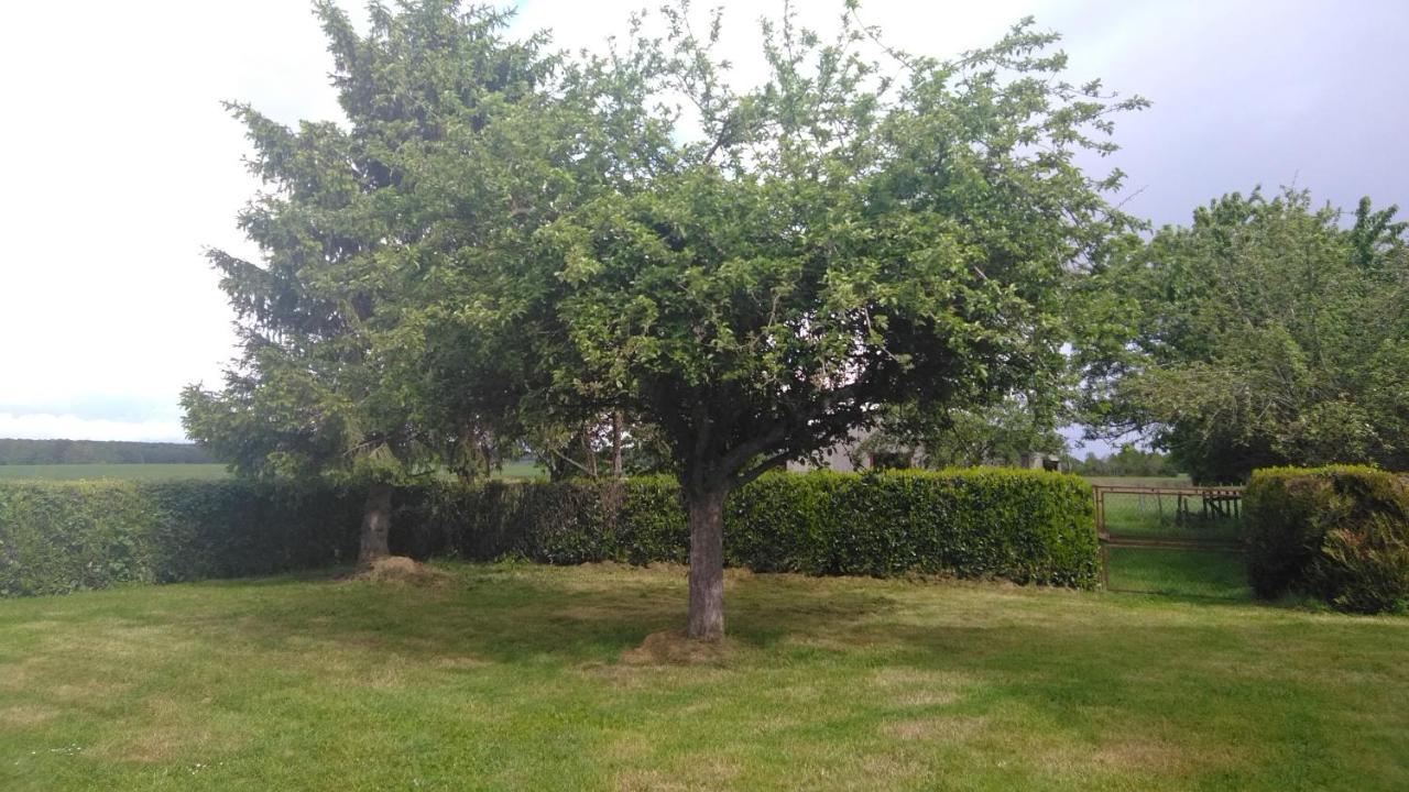 Grande Maison de plain pied avec jardin arboré. Champignelles Extérieur photo